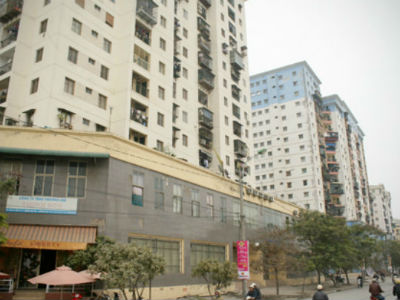 Chuột 'đại náo' chung cư Hà Nội: Khổ lắm nhưng bó tay