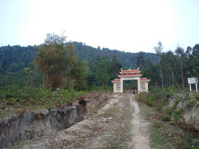Cho phá rừng làm “siêu nghĩa trang”