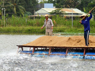Đại gia thủy sản ôm 80 tỷ lặn mất tăm: Kêu gọi DN khác thế chỗ