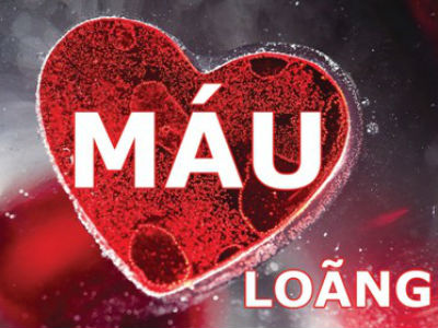 Người bị loãng máu nên ăn gì để máu đông?