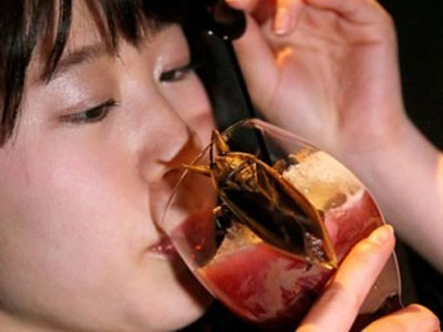 Uống dịch côn trùng mừng lễ tình nhân