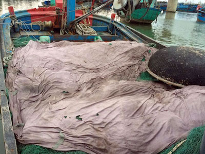 Bùn “lạ” làm hại ngư dân Quảng Trị