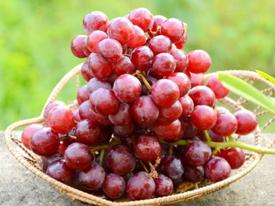 9 thực phẩm tốt cho tuyến tụy bạn nên ăn hàng ngày