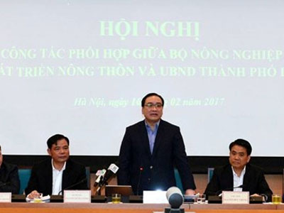 Hà Nội muốn xây chợ đầu mối 250 triệu USD kiểm soát thực phẩm