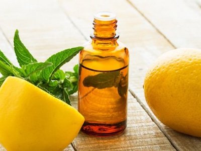 Mẹo đơn giản đuổi sạch muỗi không cần thuốc xịt
