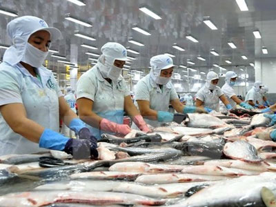 Cá tra Việt Nam bị phản ánh sai lệch trên sóng truyền hình Tây Ban Nha