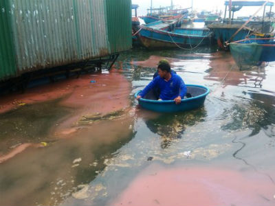 Viện Khoa học Công nghệ lấy mẫu nước đỏ ở Vũng Áng