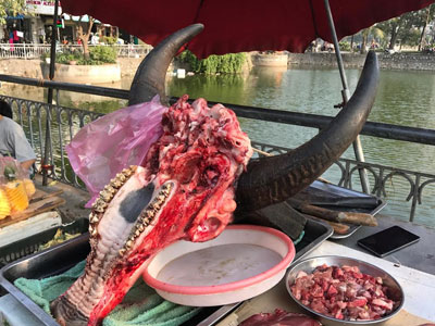 Đầu trâu nguyên răng, xương sườn nguyên bộ giữa chợ Hà Nội
