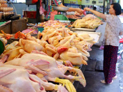 Cúm A/H7N9 cận kề, chuyên gia khuyên không ăn thịt gà mổ sẵn ở chợ