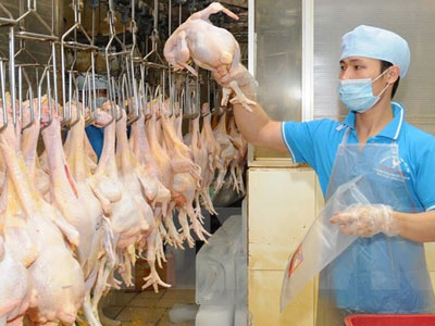 Người tiêu dùng không nên "quay lưng" với các sản phẩm gia cầm