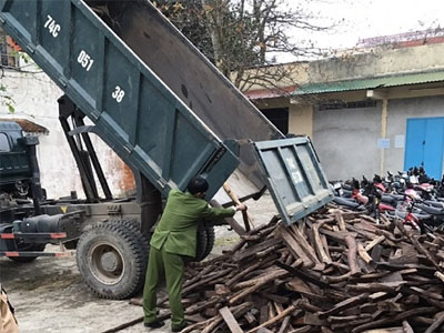 Hơn 2 tấn gỗ lậu dưới tấm bạt phủ kín