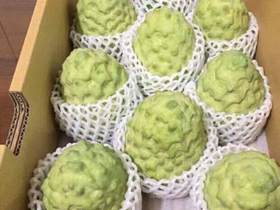 Dân sành ăn lùng mua na "khủng" 300.000 đồng/kg