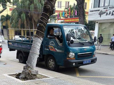 Đà Nẵng phạt nguội xe biển xanh đậu sai quy định từ phản ánh của người dân qua Facebook