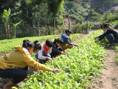Những "thiếu phụ" tuổi... 13