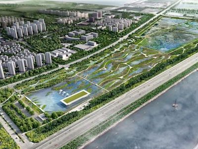 TQ sắp xây "sân bay" dành cho chim đầu tiên trên thế giới