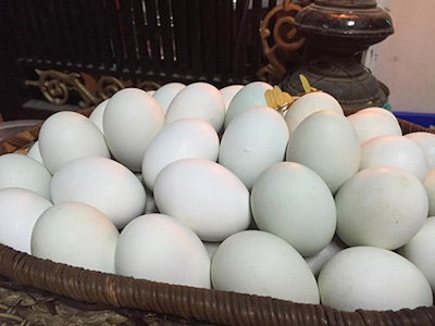 Trưởng phòng trộm trứng hội chợ về cho cấp dưới