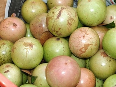 Vú sữa Lò Rèn mất mùa, rớt giá còn 5.000 đồng một kg