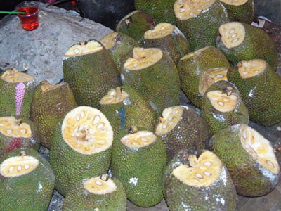 Đại biểu HĐND mua trái mít, được tặng... thuốc bảo quản