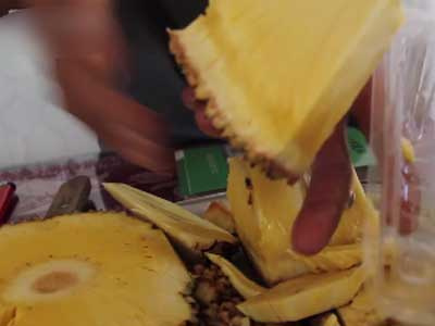 Video: Mít không hạt giá cao hút khách của lão nông miền Tây