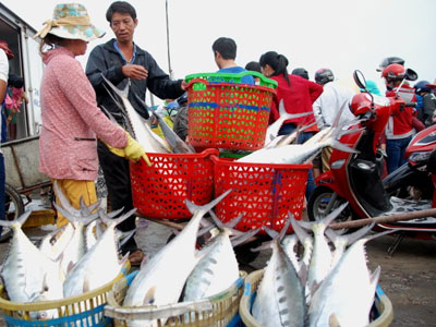 Giây phút ngư dân chạm mặt mẻ cá bè 6 tỉ đồng