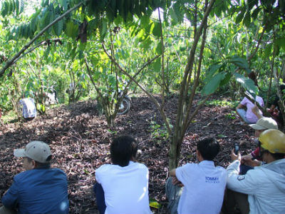 Thi thể nam thanh niên đầy máu trong rẫy cà phê