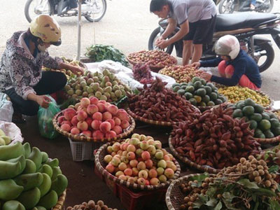 Mỗi ngày, Việt Nam chi gần 60 tỷ đồng nhập rau quả từ Trung Quốc, Thái Lan
