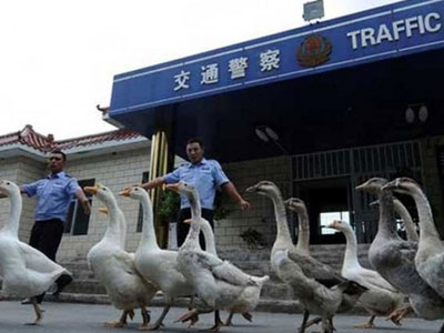 Những điều lạ lùng chỉ có thể thấy ở Trung Quốc