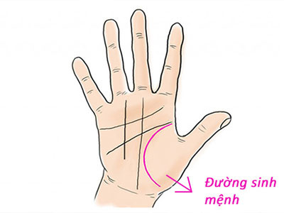 Tự xem số phận mình qua bàn tay chính mình: Bí ẩn đường sinh mệnh trong lòng bàn tay