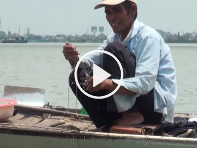 Video: Câu tôm càng xanh bằng mồi tép trên sông Đồng Nai