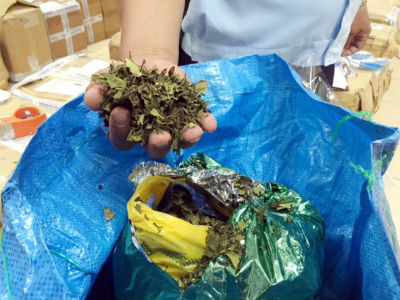 Nhận diện ma túy mới - Hệ lụy báo trước