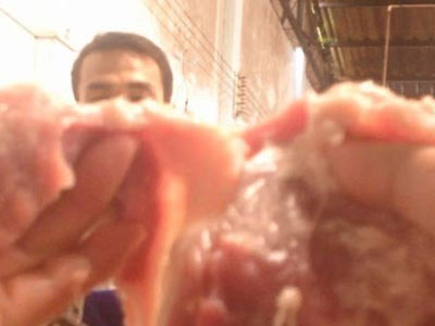 Thịt thối, cá ươn, rau củ héo úa dùng chế biến suất ăn công nghiệp