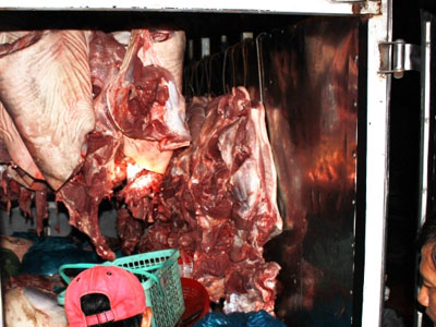 Bắt giữ xe tải chở 600 kg thịt heo không qua kiểm dịch