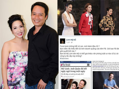 Trước Mỹ Linh, Công Lý cùng hàng loạt sao Việt từng bị lợi dụng hình ảnh