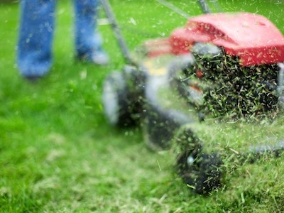 Công nghệ biến cỏ thành nhiên liệu sinh học