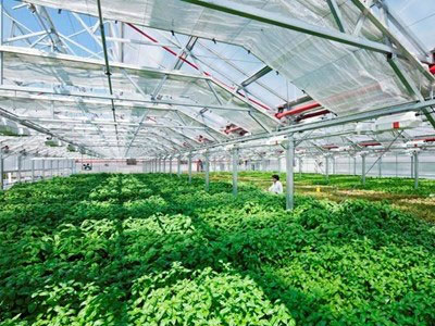 Sẽ hướng dẫn giải ngân gói 100.000 tỷ trong tháng này