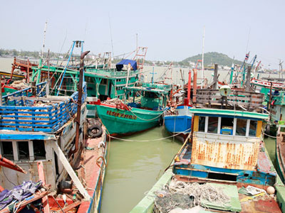 Nhảy xuống biển vì bị lừa đánh cá tại Thái Lan