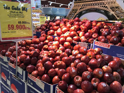 Táo Úc, táo Mỹ 40 ngàn/kg: Rẻ như rau chợ, tin được không