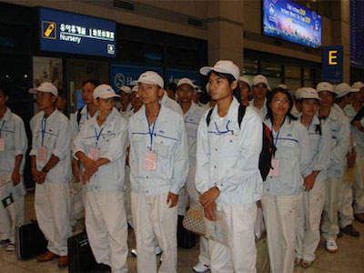 8 doanh nghiệp xuất khẩu lao động bị xử phạt, thu hồi giấy phép