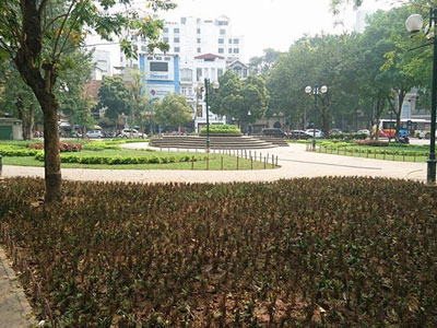 Vụ cắm chông tre ở vườn hoa: Nhổ bỏ ngay