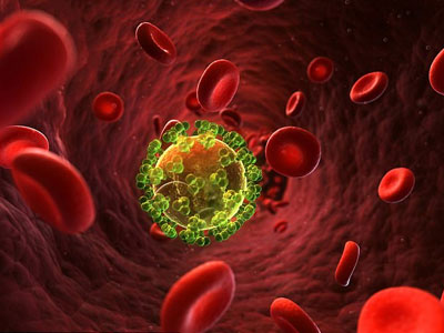 Nghiên cứu đột phá trong điều trị AIDS: "Tiêm" kháng thể HIV cho tế bào