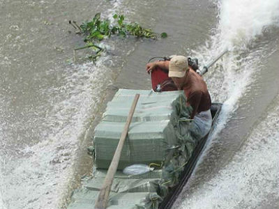 Vì tiền, nài thuốc bán mạng đưa hàng lậu về TP HCM