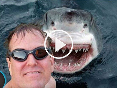 Video: Selfie bên cá mập và loạt trào lưu không phải ai cũng dám thử