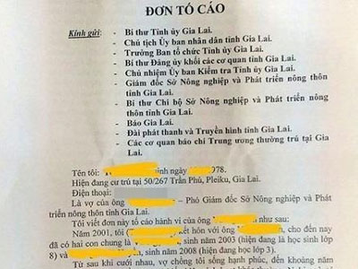 Phó giám đốc sở cho rằng vợ dựng chuyện ngoại tình bôi xấu chồng
