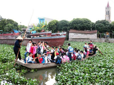 Ảnh bìa bài viết 447159