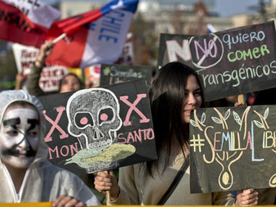 Monsanto đã và đang làm gì tại Việt Nam?