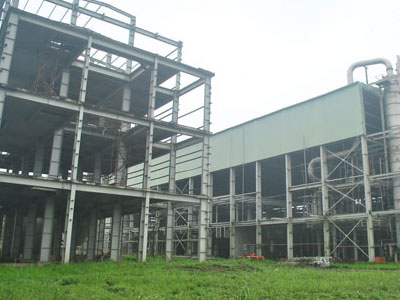 Phá sản lộ trình xăng sinh học