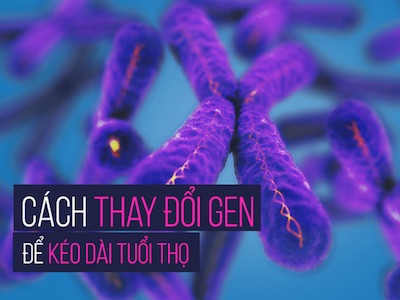 7 bí mật giúp con người nâng cao chất lượng sống và kéo dài tuổi thọ bạn nên tham khảo