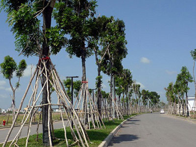 Đất phía Tây Sài Gòn tăng giá gấp đôi