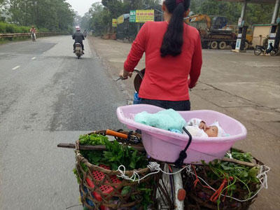 Xúc động hình ảnh mẹ bán rau, bỏ con trong thau đạp xe đi muôn nơi…