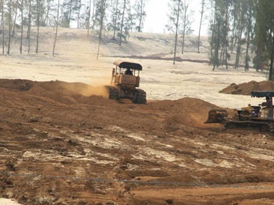 Thủ tướng chỉ đạo làm rõ vụ phá rừng phòng hộ tại Phú Yên